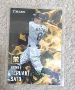 カルビー 佐藤輝明 STAR CARD