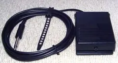 Item thumbnail for item 789c476f-5925-493c-8902-cc97075561d2