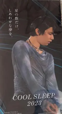 Item thumbnail for item 3b66f4fa-c423-4a02-a07a-516d77c98ac9