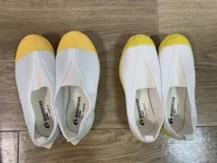 Gift さま専用　MOONSTAR 上履き 21センチ セット