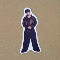 【匿名配送】EBiDAN スポーツマンヒップ ワンエン TETTA ステッカー