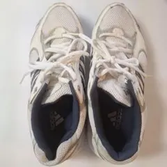 Item thumbnail for item 9de28113-2f2b-475e-86a2-59dc2777f5f3