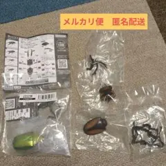 生き物大図鑑クワガタとカナブンセット