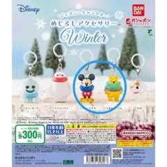 ディズニー めじるしアクセサリー Winter プーさん　ミッキー　まとめ売