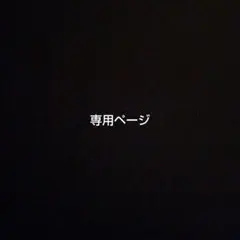 専用ページ