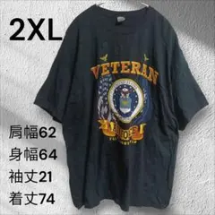 海外古着 Tシャツ ブラック ギルダン フロントプリント 2XL