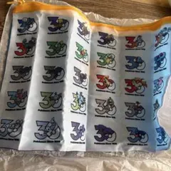 ポケモン 30周年記念 フラットポーチ　青