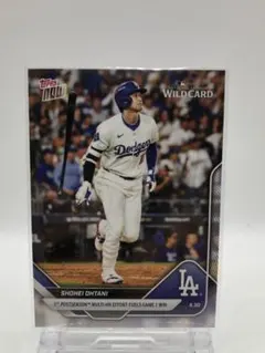 えーちゃん様 リクエスト 2点 まとめ商品