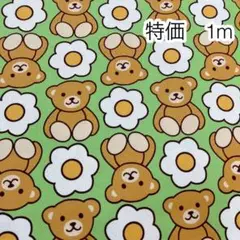 ラスト 特価 1m くまとお花 グリーン オックス