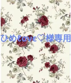 ひめℓσνє♡様専用