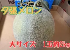 【お試し1玉】北海道産夕張メロン個選品　特大2kg前後　※掲載は関東価格のサムネイル