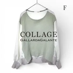 ✴︎最終値下げ✴︎COLLAGE GALLARDAGALANTE ニットブラウス F