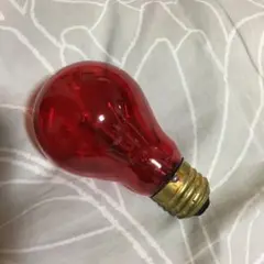 赤色球形電球 120V25W