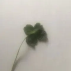 Item thumbnail for item 8aad4d95-e2d8-4567-a592-ba2e23207dc9