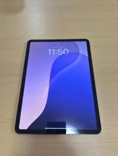 ipad 本体pro