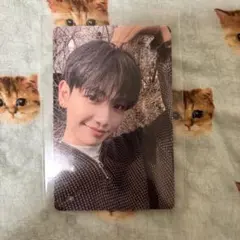 ナオコ様 リクエスト 2点 まとめ商品