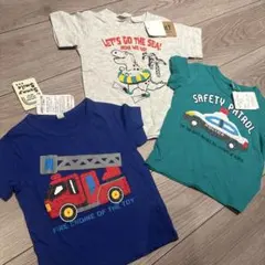 Item thumbnail for item ca56d036-8f52-46de-9dc6-75a2fd427b48