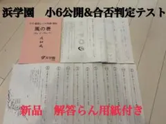 2025年最新】浜学園 公開テスト 小6の人気アイテム - メルカリ