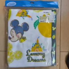 Item thumbnail for item 52c8c967-5502-4a0f-95fb-80b0c1b300f3