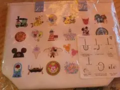 ディズニーリゾート　スーベニアランチケース　パークアイコン　デザイン