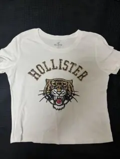 Hollister tシャツ　Y2K