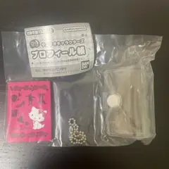 サンリオキャラクターズ　プロフィール帳　チャーミーキティ①