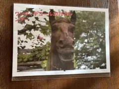 2026年最新】ワンダーデコールの人気アイテム - メルカリ