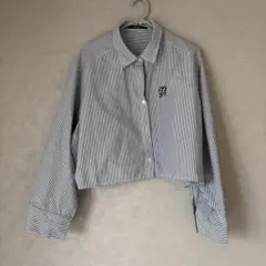 ストライプ 長袖シャツ ミニ丈 L