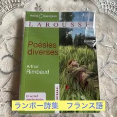 レ・ミゼラブル 原書 フランス語版 Victor Hugo Larousse - メルカリ