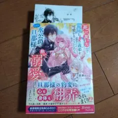 前澤のーん　ロサージュノベルス　tl小説　特典つき