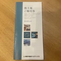 【株主優待券】東急不動産ホールディングス（2025/8/31）