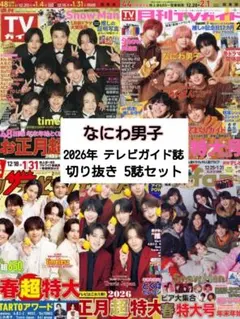 なにわ男子 切り抜き TVガイド ザテレビジョン TVfan 5誌セット①
