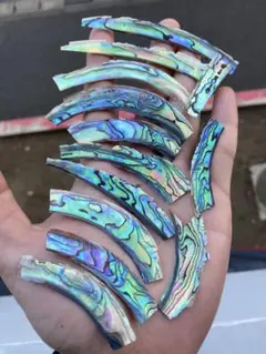 ニュージーランドアワビ貝　20枚　螺鈿細工　ネイル用シェルパーツ　ハンドクラフト