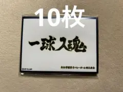 Item thumbnail for item 6c512c43-be0b-4349-9c36-bfb6bc980b16