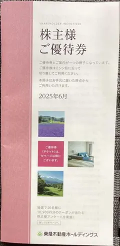 東急不動産HD 株主様ご優待券×1冊（500株以上1000株未満）