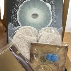 Siipガイヤ 完全生産限定版 抜き取りあり