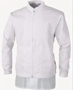 Item thumbnail for item 63c9bfad-0c19-40d5-874d-ddc7b8857821