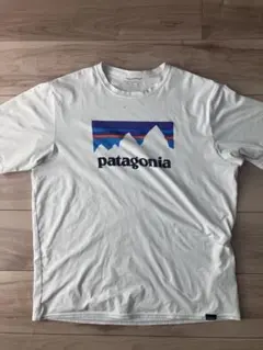 patagonia Capilene Cool Daily Tシャツ Mサイズ