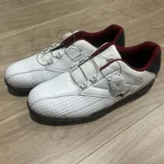 Item thumbnail for item e850e1b1-56cd-4b61-a188-738baf6a05fc