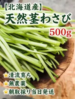 信州浅間山南麓産】今が旬‼️天然 葉わさび 500g超え - メルカリ