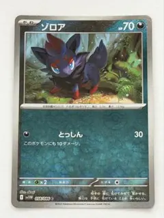 ポケモンカード ゾロア マスボミラー ホワイトフレア - メルカリ