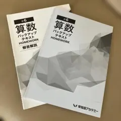 2026年最新】早稲田アカデミー 小6 バックアップテキストの人気