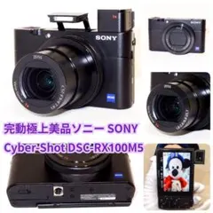 2026年最新】dsc-rx100m5aの人気アイテム - メルカリ