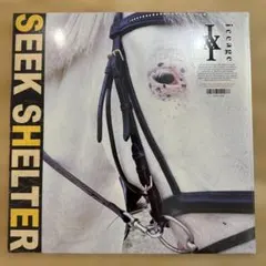 iceage アイスエイジ LPレコード 限定オレンジ盤