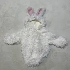 Item thumbnail for item 099ef91e-839a-4738-8a66-758a3f3ebc05