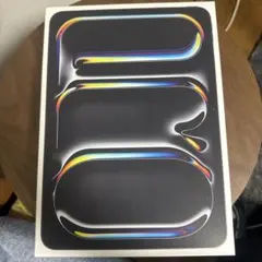 iPadPro 11インチ M5 256GB バッテリー100% - メルカリ