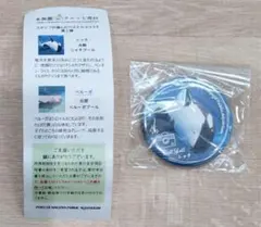 名古屋港水族館限定　2025年 シャチ　リンちゃん　誕生日　缶バッジ 名古屋港水族館限定 2025年 シャチ リンちゃん 誕生日 缶バッジ