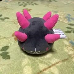 ナマコブシ　まとめ売り 2025年最新】ナマコブシの人気アイテム - メルカリ