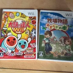ニンテンドーwii ソフト