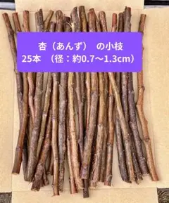 【杏（アンズ）の小枝】25本 無農薬 かじる木・止まり木・工作用 28cm